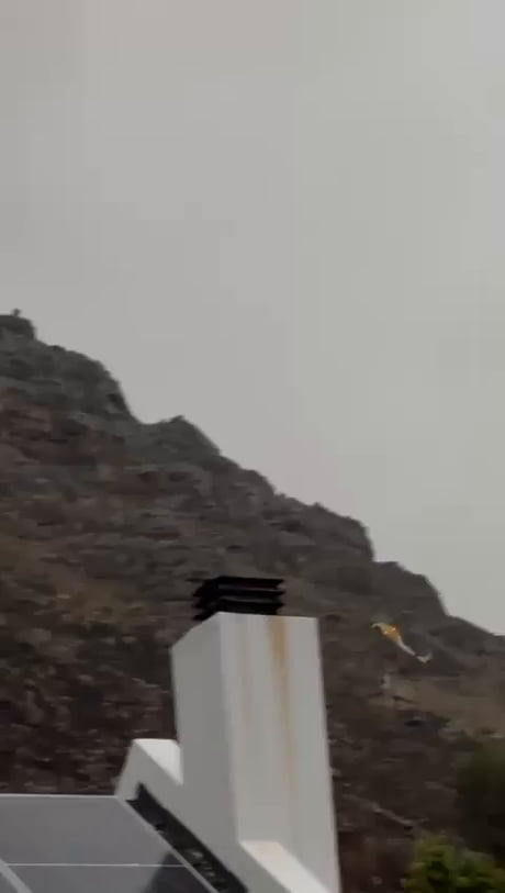 Oh Don't worry he is a professional