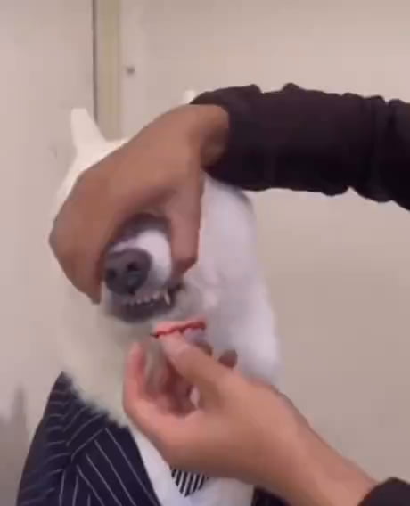 Forgotten archives 01. (Somehow landed in a different ordner)