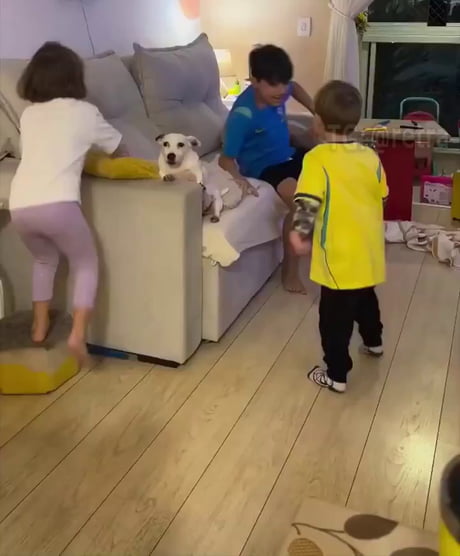 I love this little dog who discovered what kids are because his owner had to babysit her friend's children's!