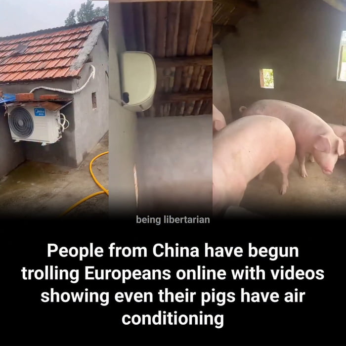 Damn china
