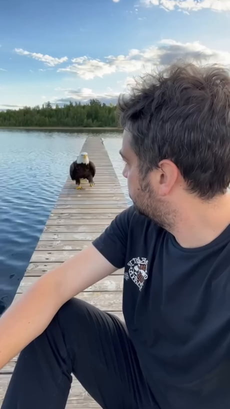 License and registration please...