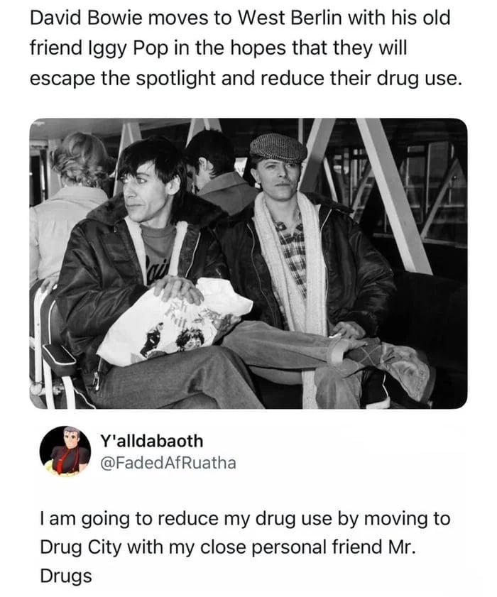 Bold Strategy, Cotton...