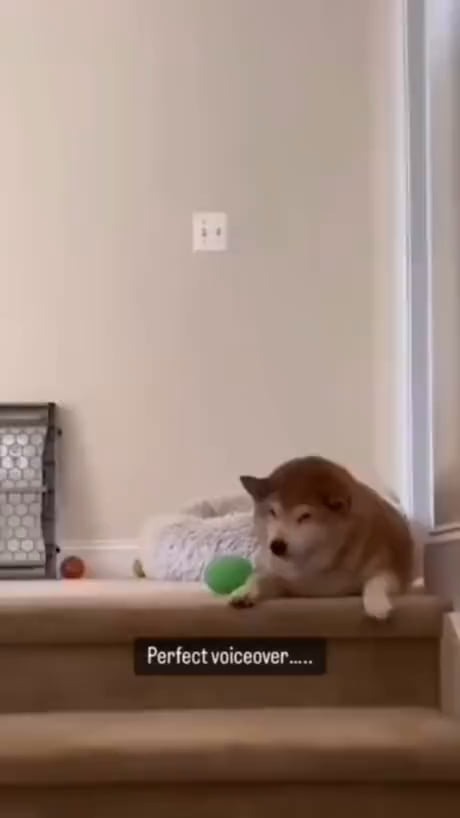 One of the best voiceovers. Sorry but don't have sauce.