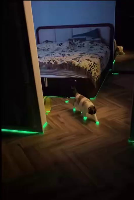 Cybercat 2077