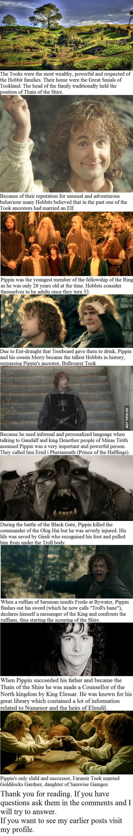 10 Peregrin Took facts you may not have known - 9GAG