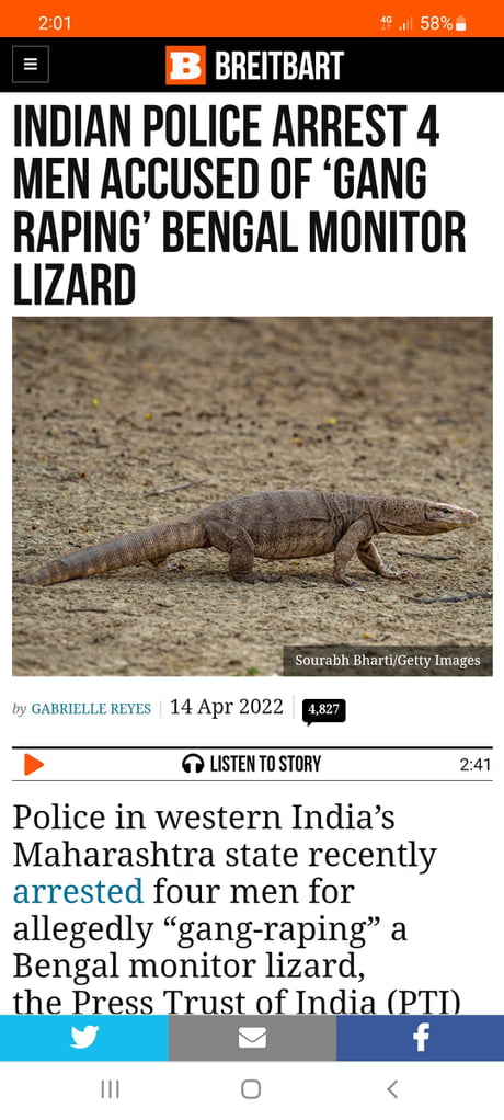 Best 30 Lizard Fun On 9gag