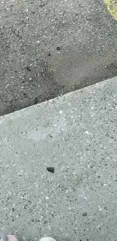 If Pos Was A Lottery This Would Be A Jackpot Winner 9gag