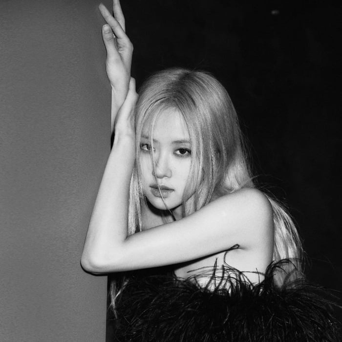 Photo : Rosé