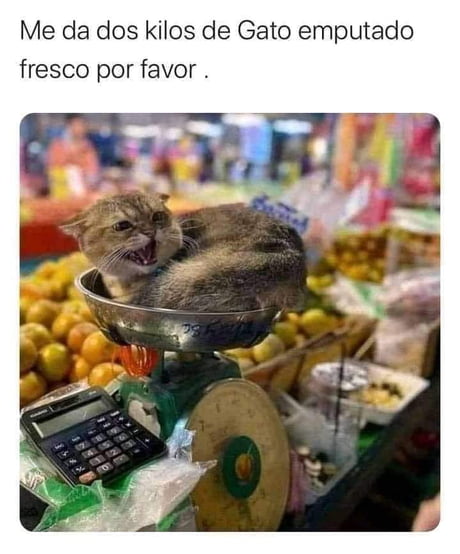 Memes Emputados Literal Meme By Elmanmeme :) Memedroid