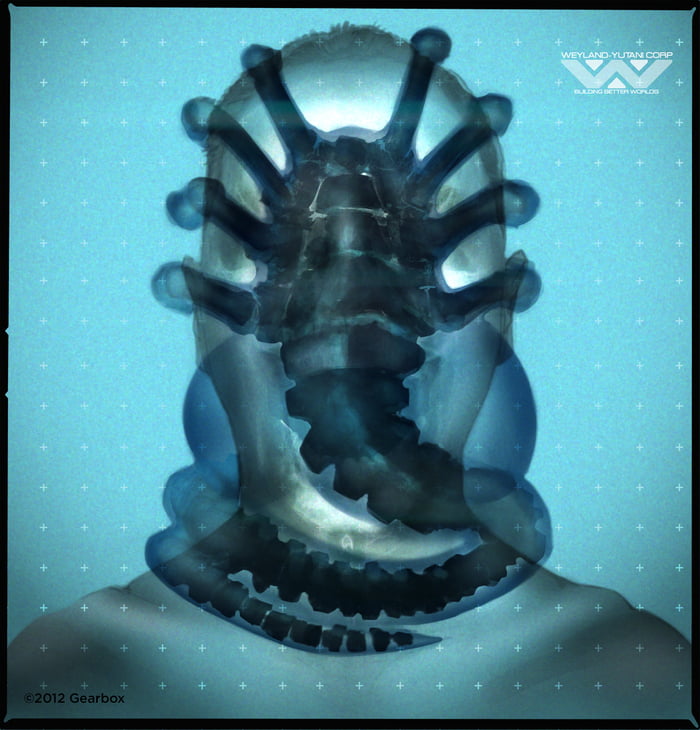 Facehugger Mask 9GAG