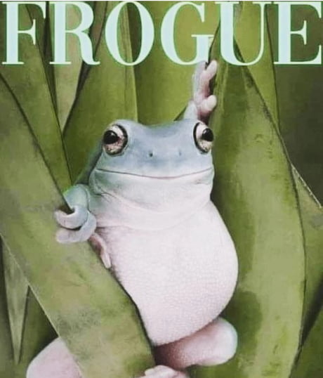 It's Wednesday my dudes