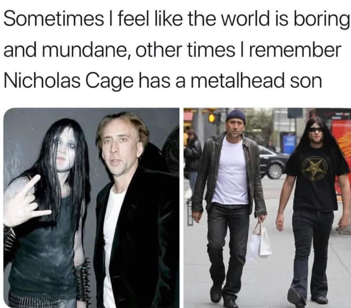 Nicolas Metal Cage
