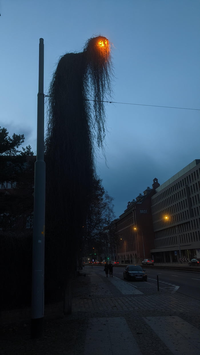 This street lamp in Wroclaw