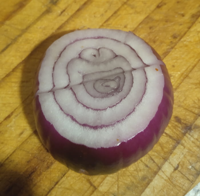 All Hail Cookie Monster Onion 9GAG