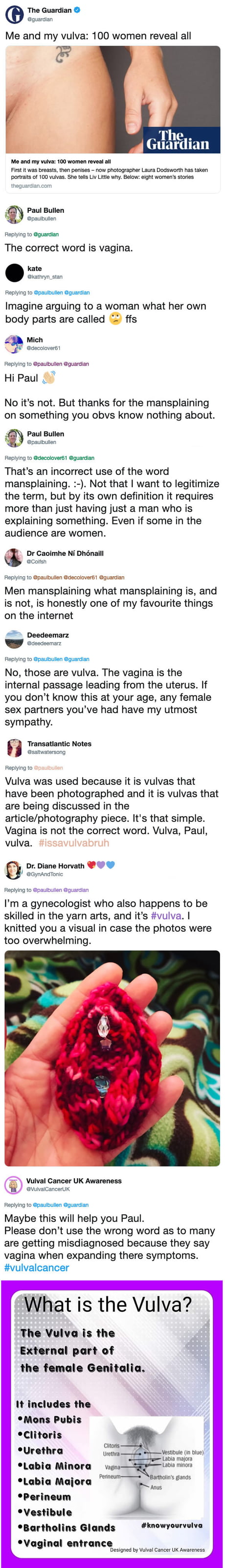Paul Wrote A Long Ass Thesis On Why Vagina Is The Correct Word To Describe  Vulva (It's Not) - 9GAG
