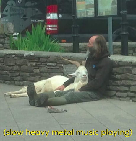 So metal with pet goat