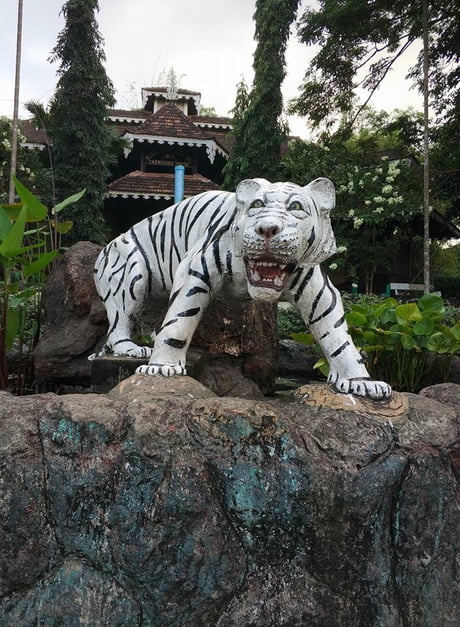 Tiger statue, Myanmar zoo - 9GAG Tiger statue, Myanmar zoo - 9GAG