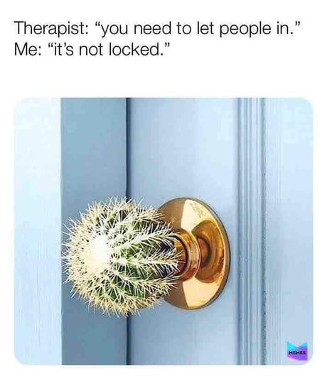 Me vs My Therapist