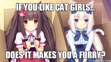 Catgirl meme fanboy fangirl poor cat