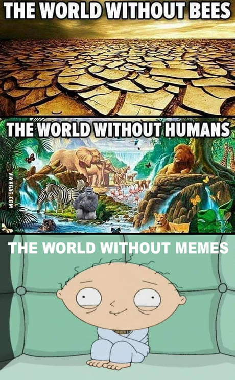 Dream world - 9GAG