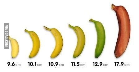 Boobs, banana for scale - 9GAG