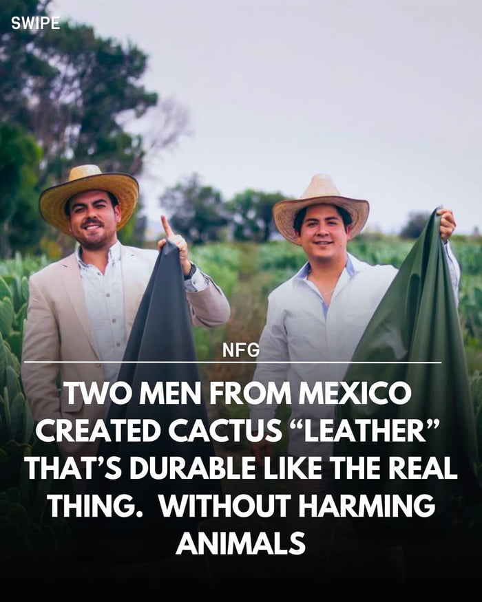 Cactus leather is a game changer