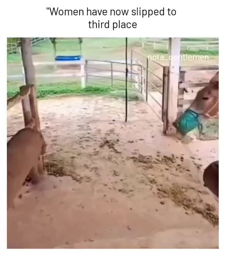 Homie can do reverse parking better than many