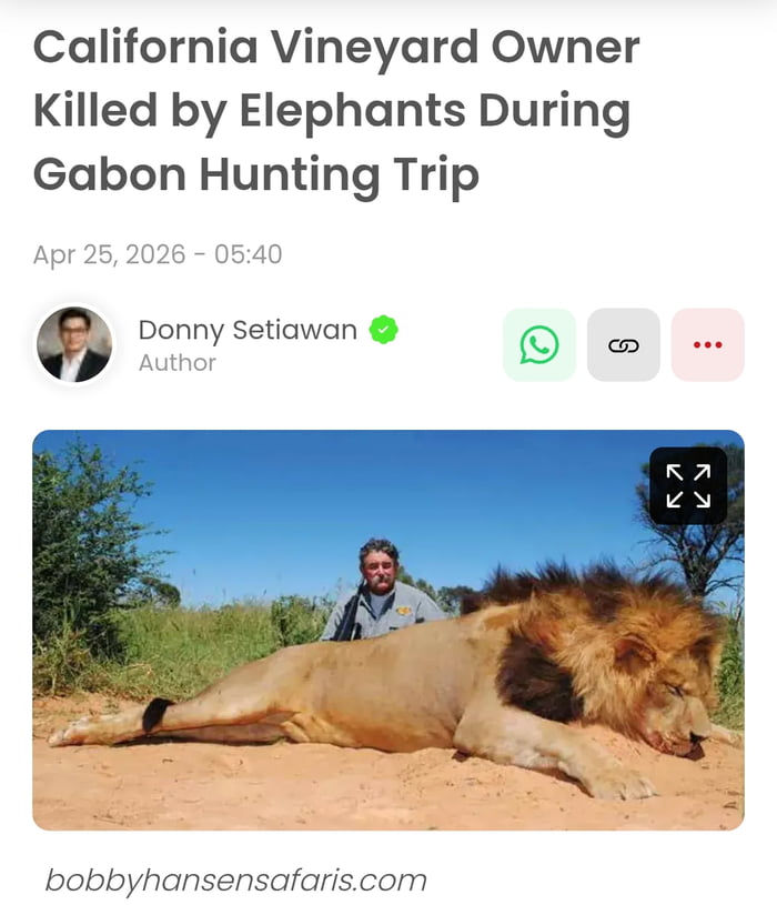 And now some good news from the jungle