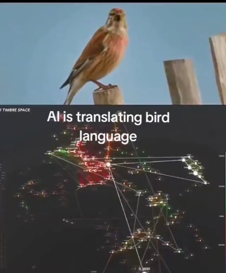 Fascinating behavior. Squawkstika?