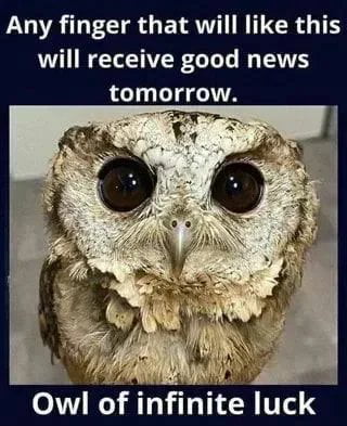 It really works