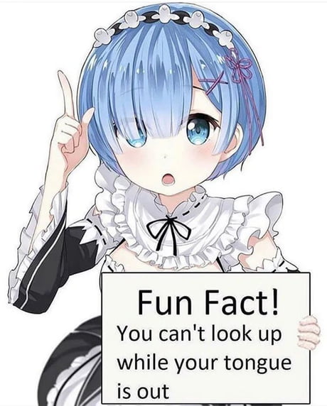Best Funny Rezero Memes 9gag 