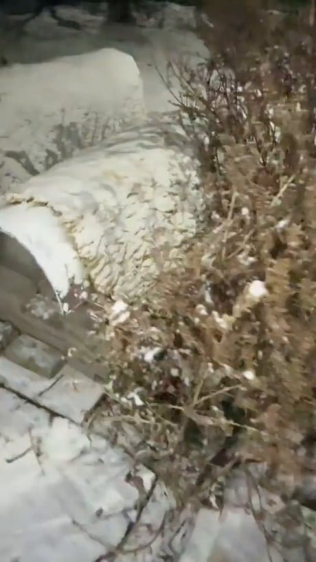 Just checking in on the neighborhood committee meeting