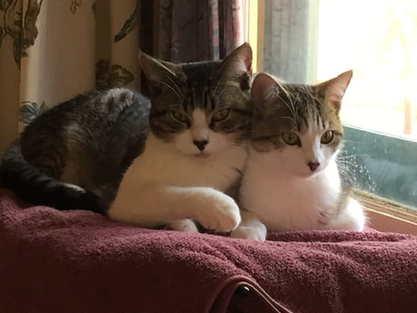 Oona and Dos, when they first stole our hearts