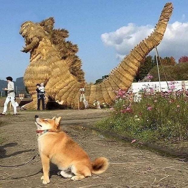 Hmmmmm