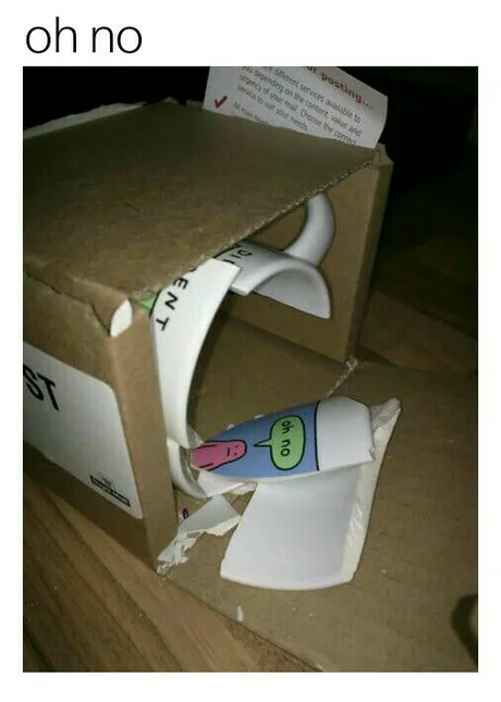 a1oD6Gw_460swp.webp