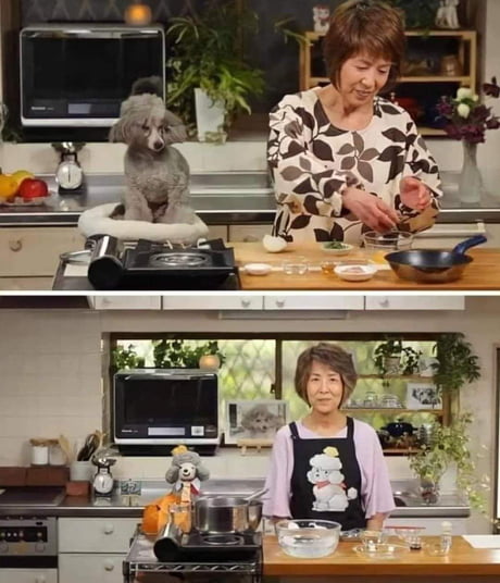 Cooking With The Dog Youtube Channel Guess The Rest Of The History 9gag