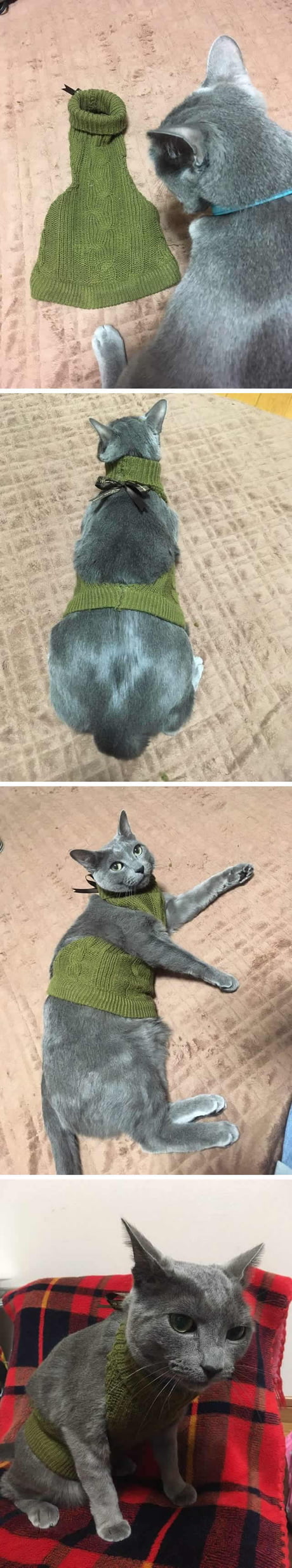 Virgin Killing Sweater