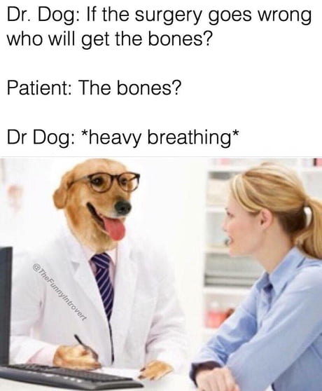 heavy breathing dog meme