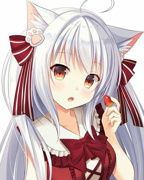 Neko Girl