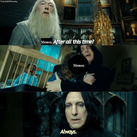 Best Funny snape kills dumbledore Memes - 9GAG