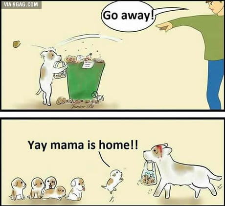 Why I love animals more than humans - 9GAG