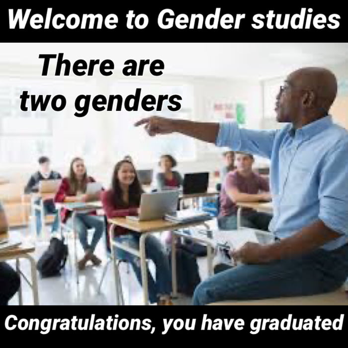 Gender studies degree