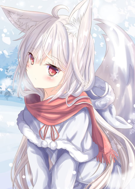 Snow fox. - 9GAG