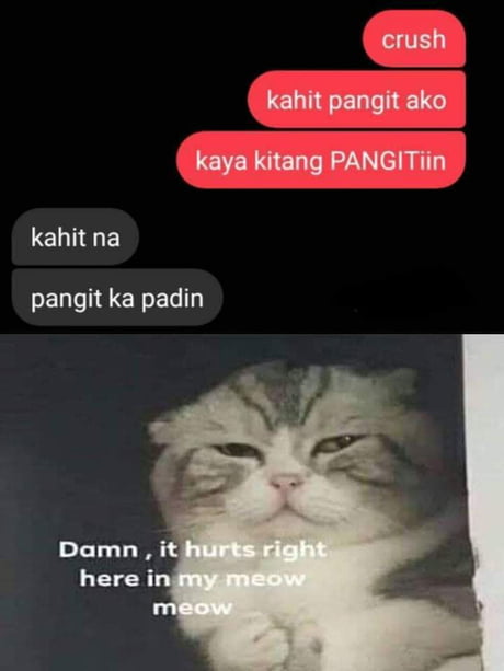 Edi Meow Memes