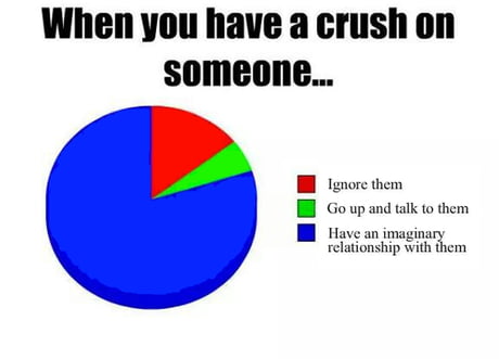 When You Have Crush On Someone 9gag