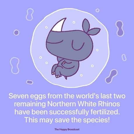Some good news for a change!