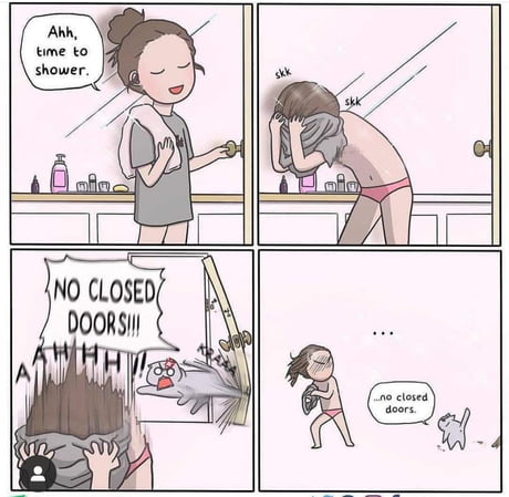 no closed doors cat