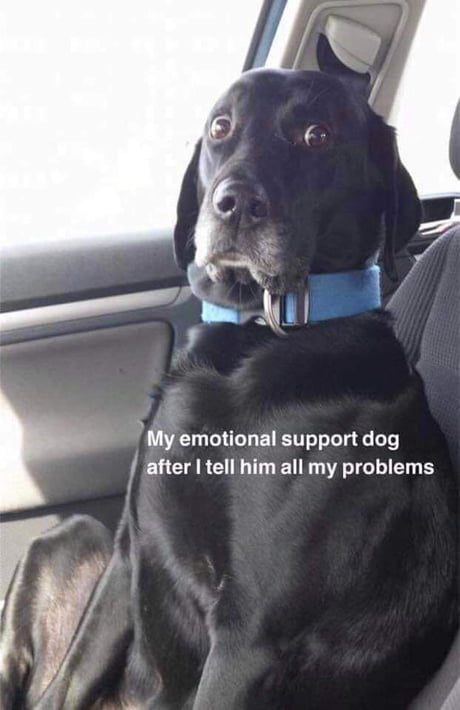 Oh well