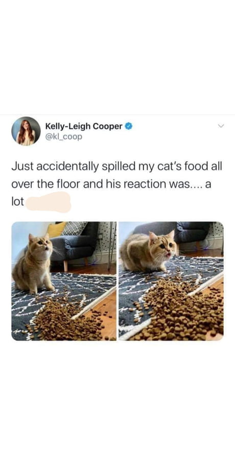 coop cat food