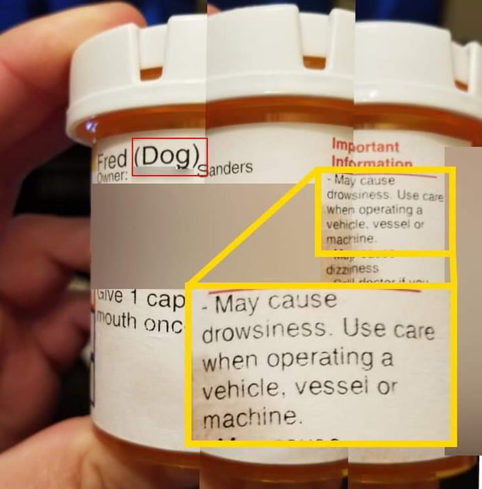 Make sure your dog doesn't drive any vehicles when on these drugs